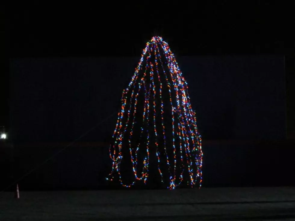 Binghamton Mets Light Binghamton&#8217;s Biggest Christmas Tree