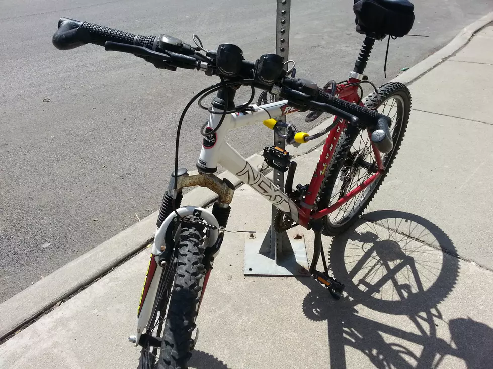 Owego Boy Jailed In Bicycle Theft