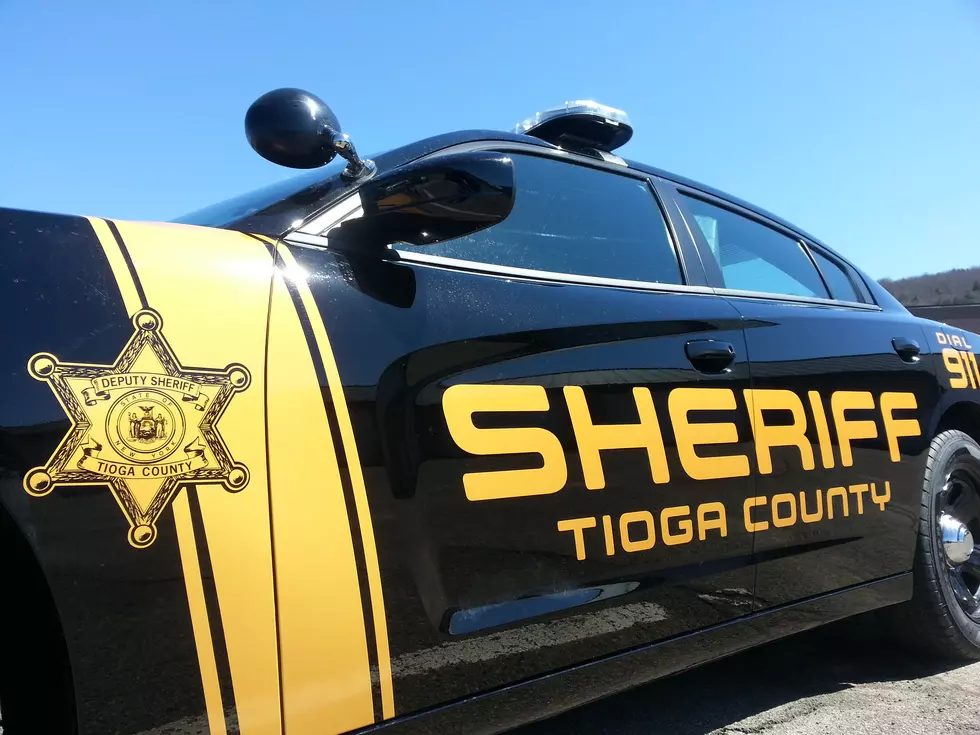 Tioga County Woman Jailed After Car Crash