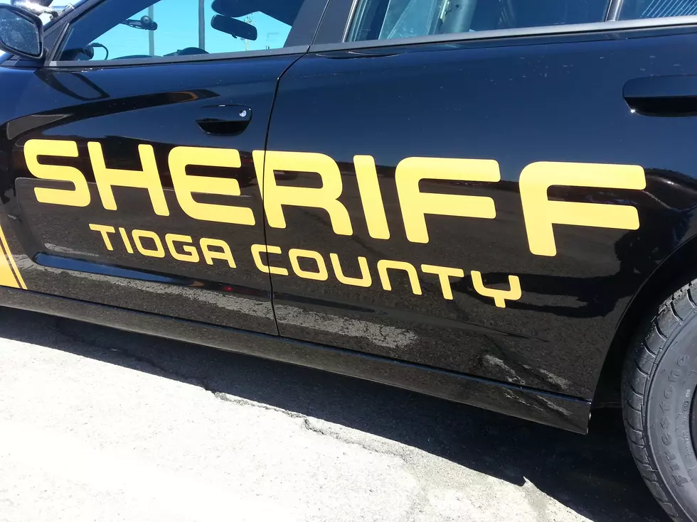 Tioga Puts Sex Offender Info. Online