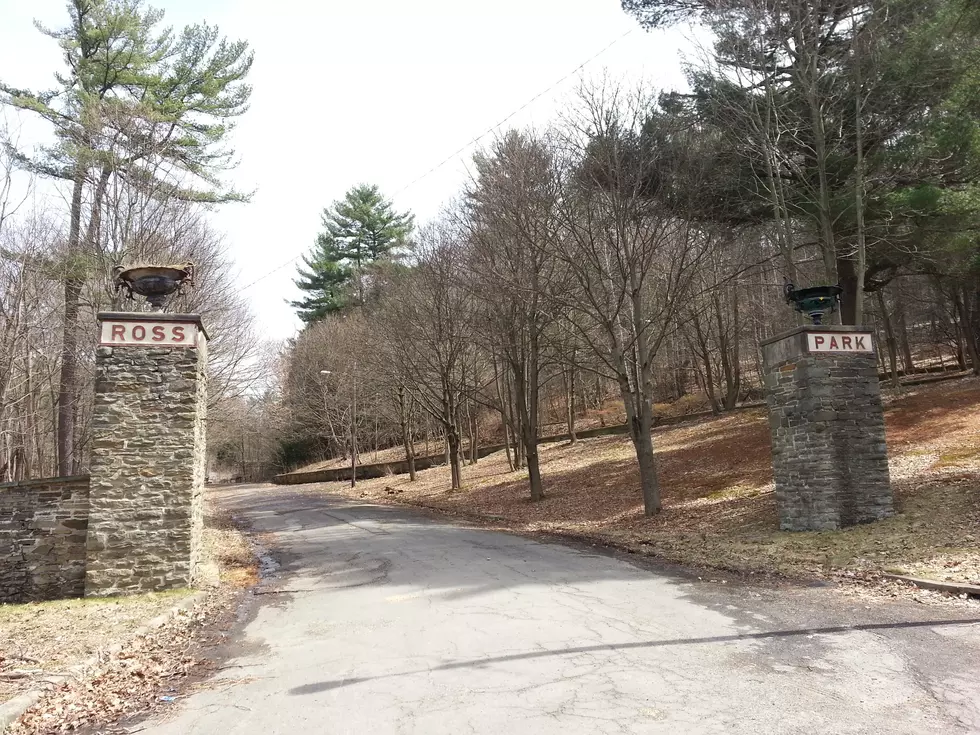 Ross Park’s Original Gate May Get New Life