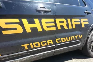 Disabled Vehicle Leads to Jail in Tioga County