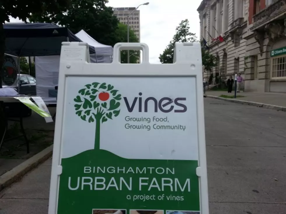 Binghamton Outdoor Farmers&#8217; Market Opens