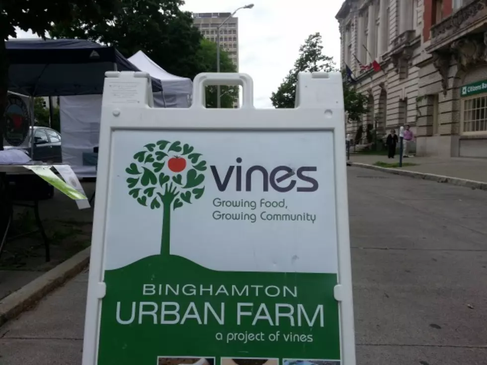 VINES Program Featured on Southern Tier Close Up