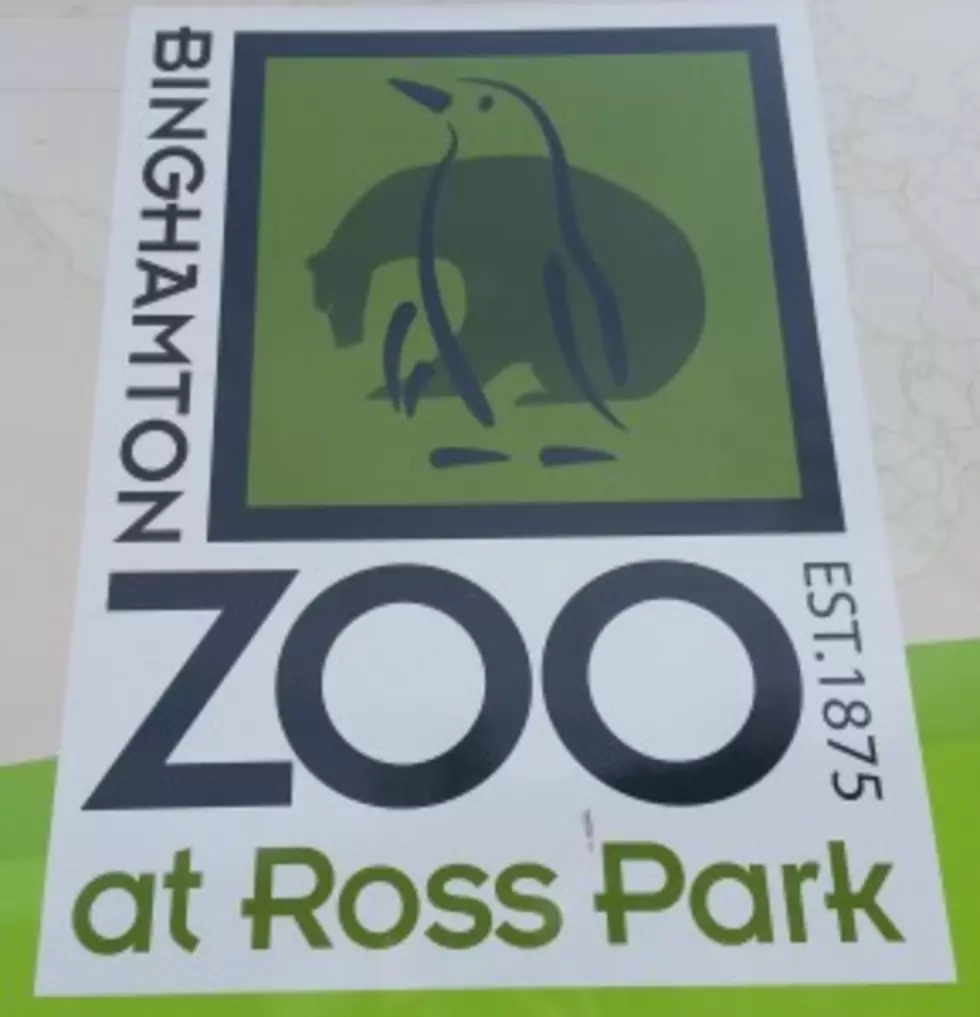 Binghamton Zoo Offers A &#8220;Beastly&#8221; Feast