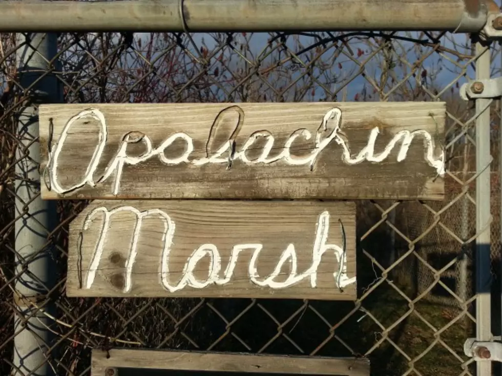 Apalachin Preserve Nestled In Middle Of Highway