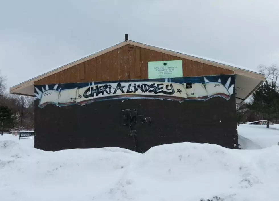 Cheri Lindsey Mural at Binghamton Park Vanishes