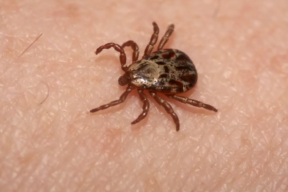 Tick Trouble