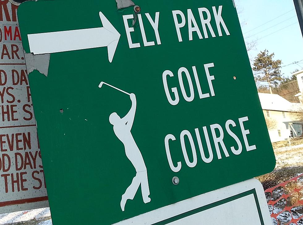Vandals Strike Again at Binghamton Ely Park Course