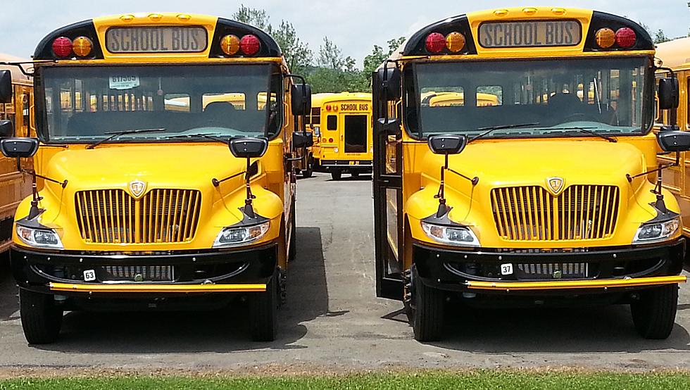 New York School Bus Operators Want Higher Fines