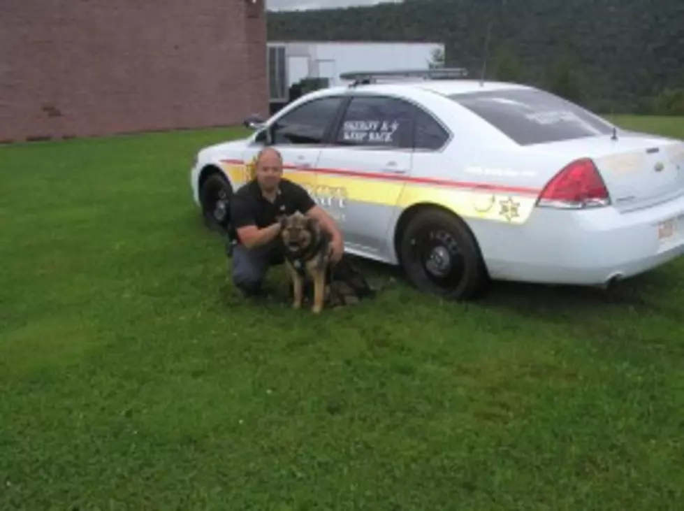 Delaware County Sheriff&#8217;s Office to Get K9 Car
