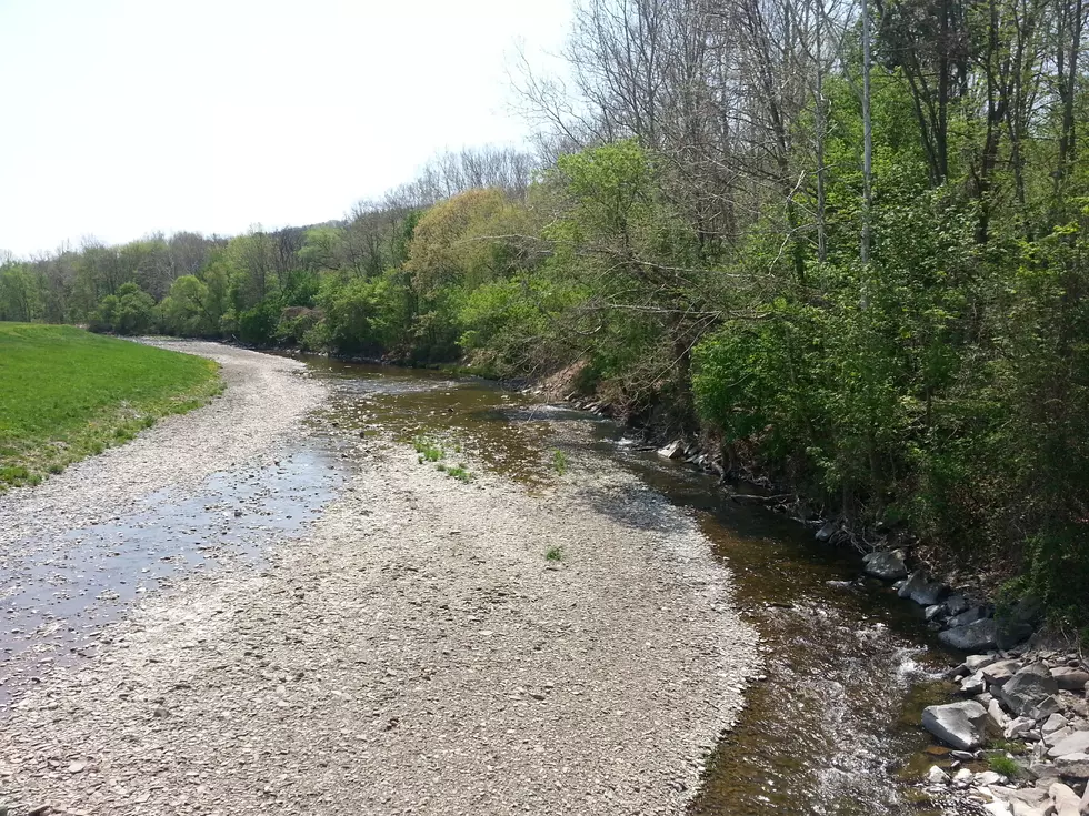 Southern Tier Added into New York Drought Watch