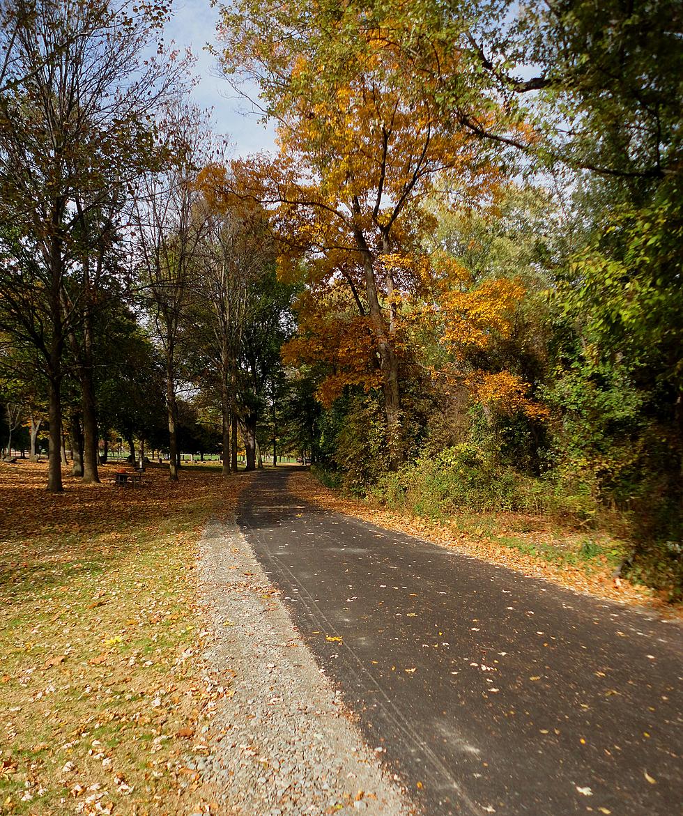 Otsiningo Park Trails are Widened & Improved