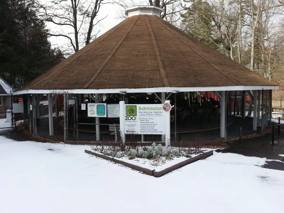 Binghamton Ross Park Carousel Will Disappear Soon