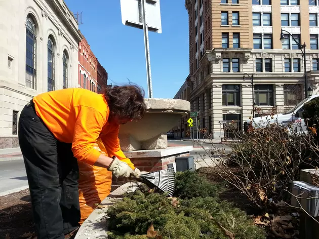 Binghamton Workers Sprucing Up Downtown District