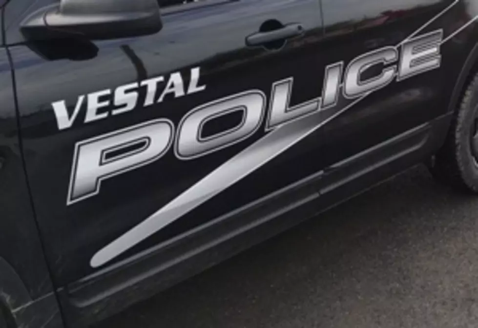 Police Discover Meth Lab at Vestal Residence