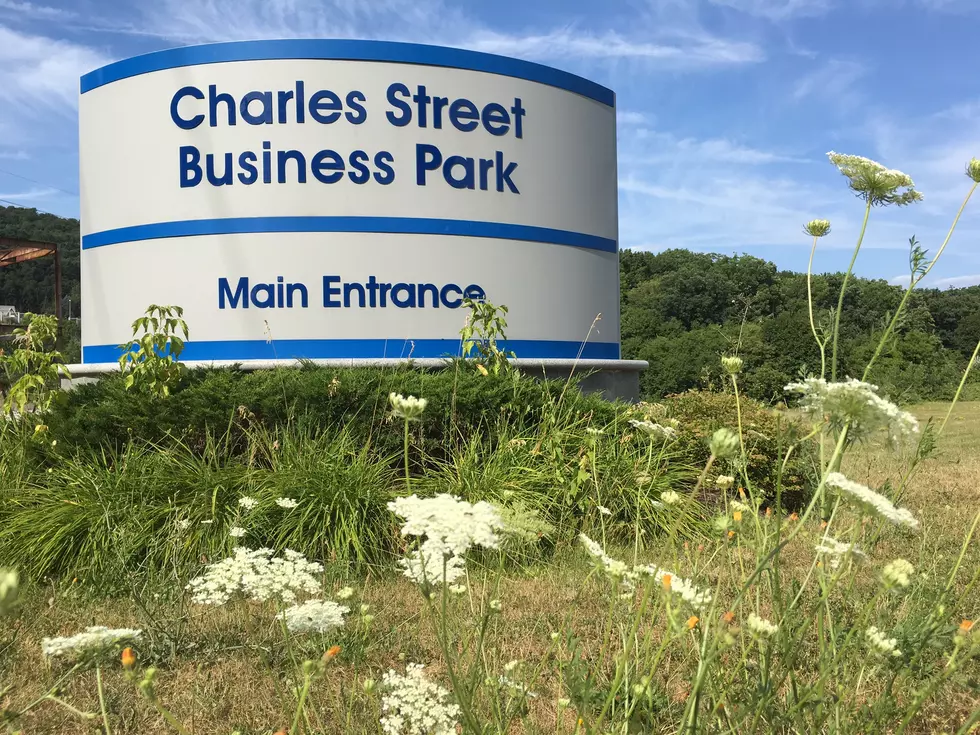 Binghamton Business Park Goes Out of Business