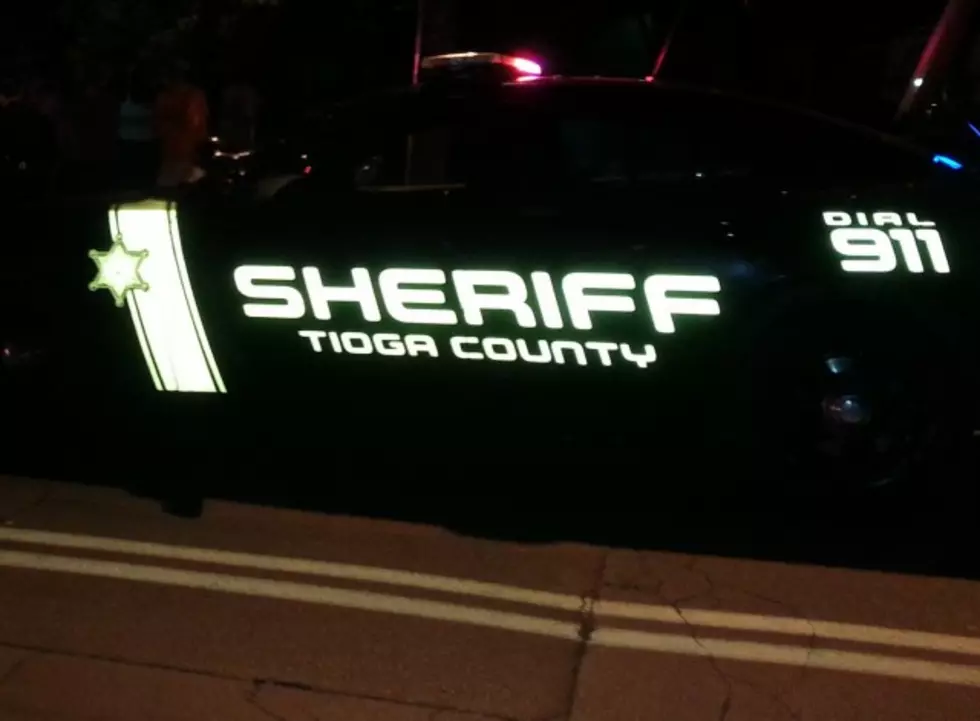 Owego Man Accused of Choking Tioga County Sheriff’s Deputy