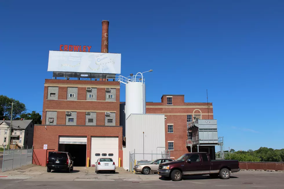 New Binghamton Dairy to Start Milk Production