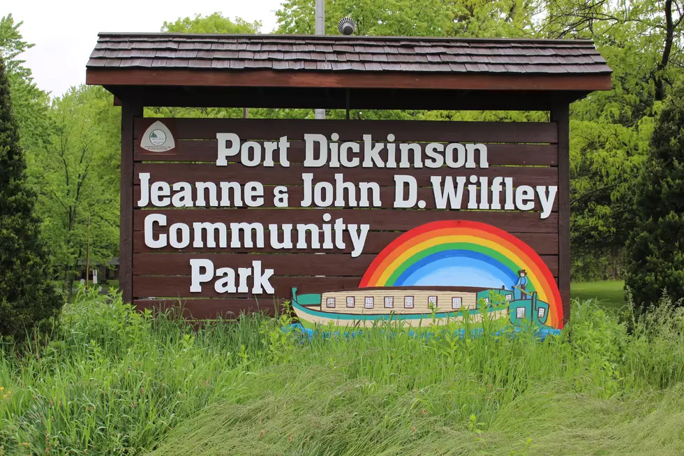 Athletic Fields Damaged in Binghamton and Port Dickinson