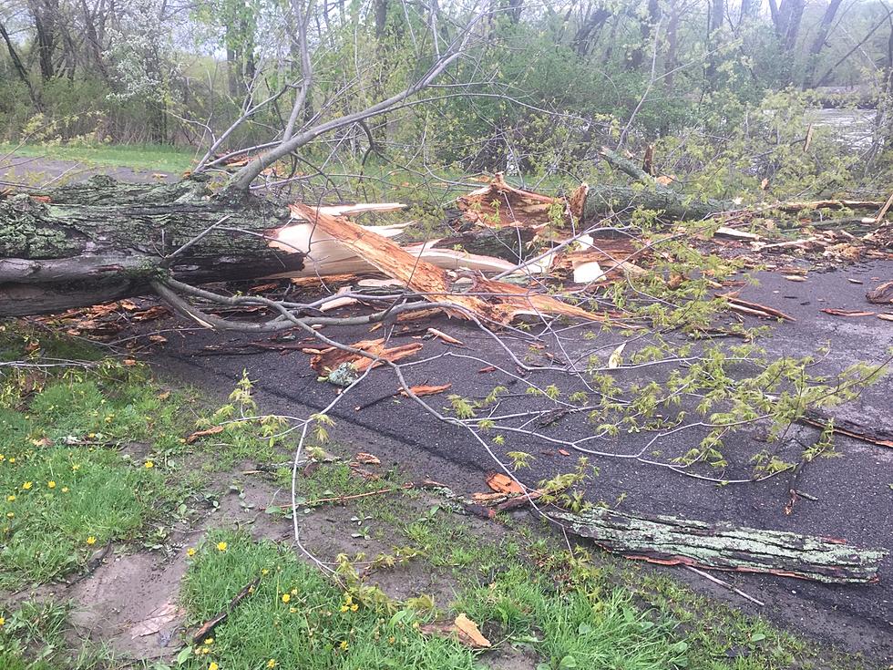 Storm Damage is Limited in the Twin Tiers