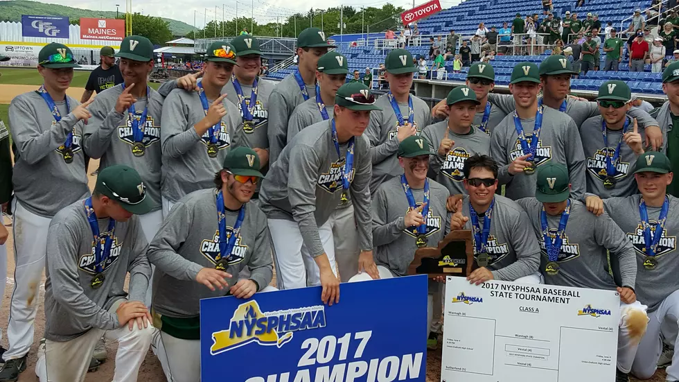 Vestal Wins State Baseball title