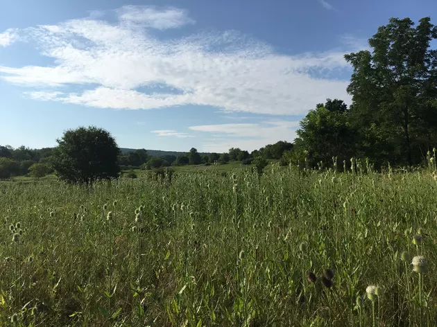 Solar Farm Proposed for 20-Acre Apalachin Site