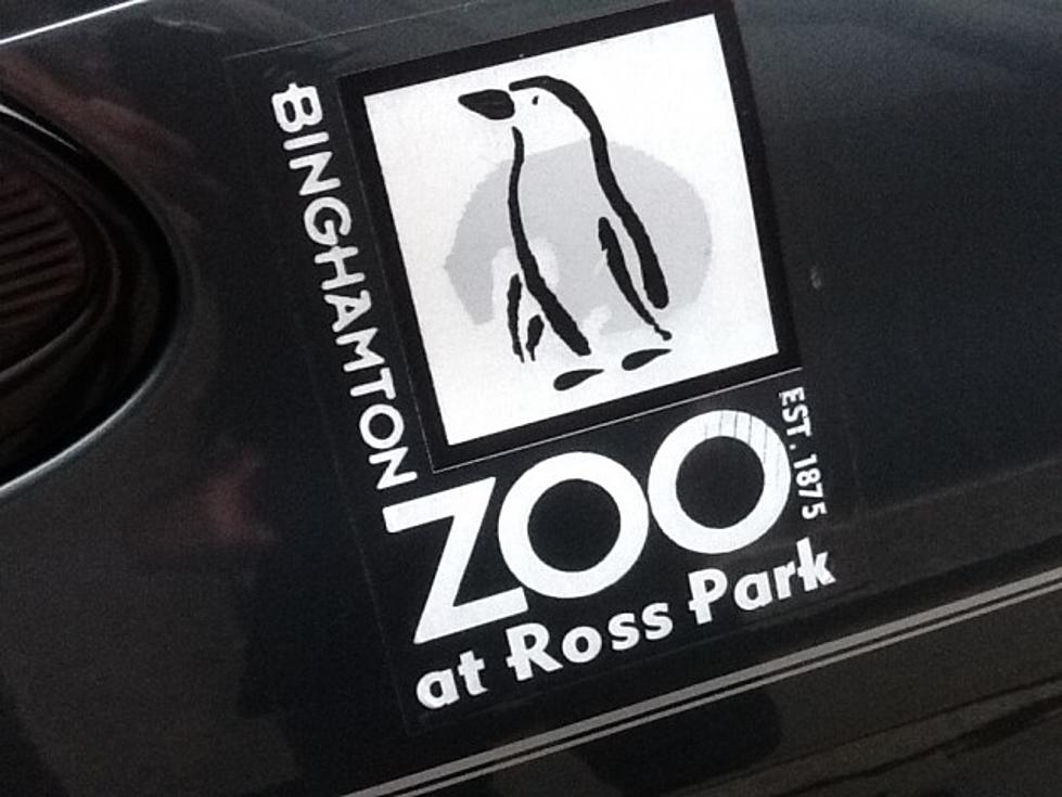 New Director for Ross Park Zoo