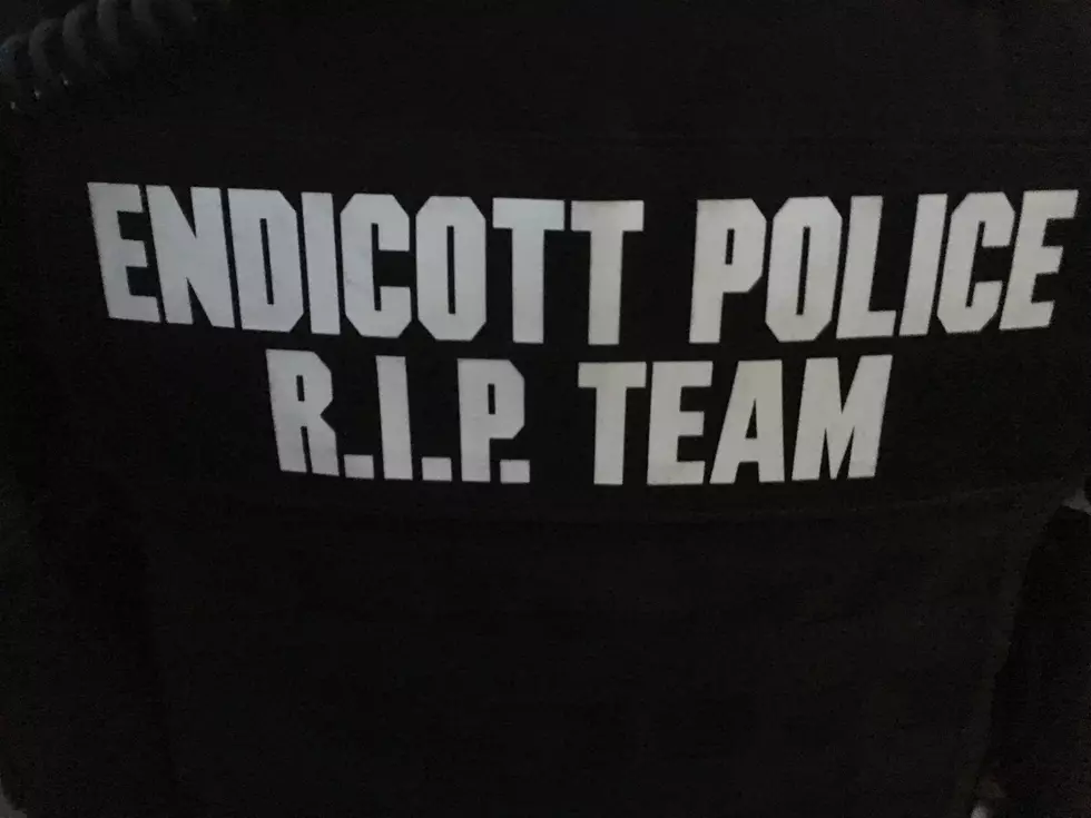 Two Endicott Raids
