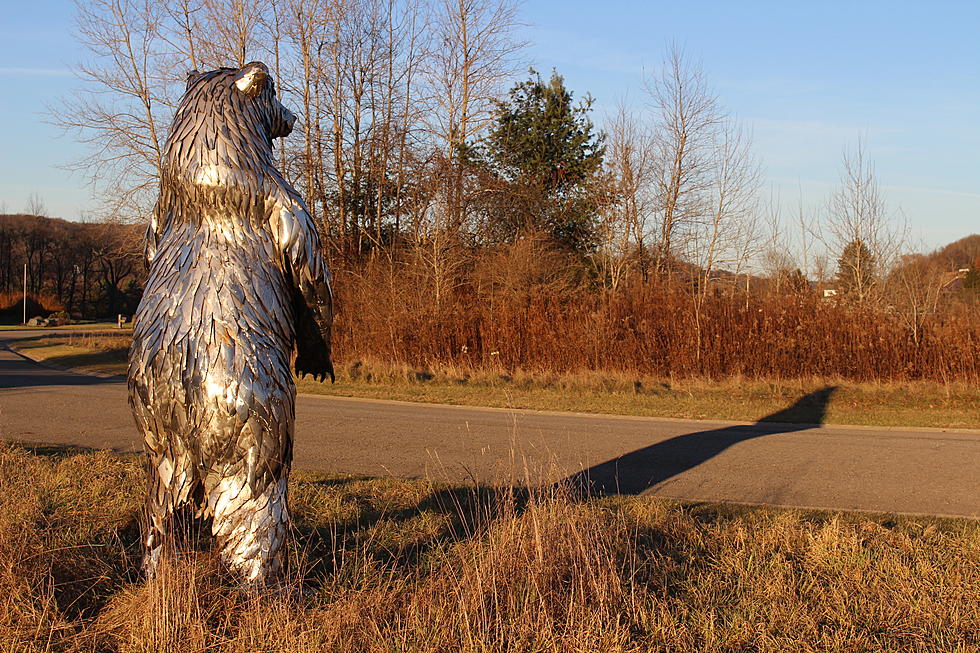 Giant Animal Sculptures Move into Broome Neighborhood
