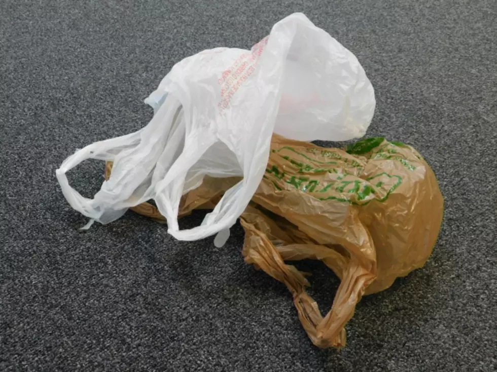 Downstate Senators Look to Ban Plastic Shopping Bags