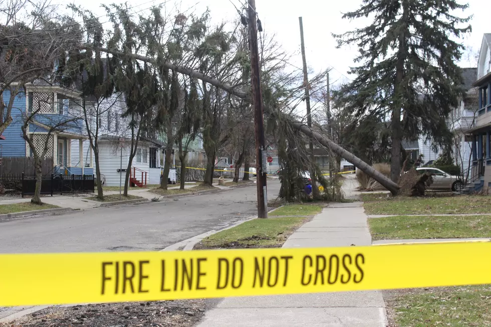 Strong Winds Take Down Trees, Power Lines Across Twin Tiers