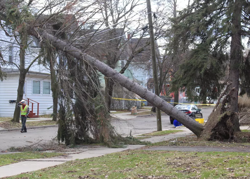 Strong Winds Take Down Trees, Power Lines Across Twin Tiers