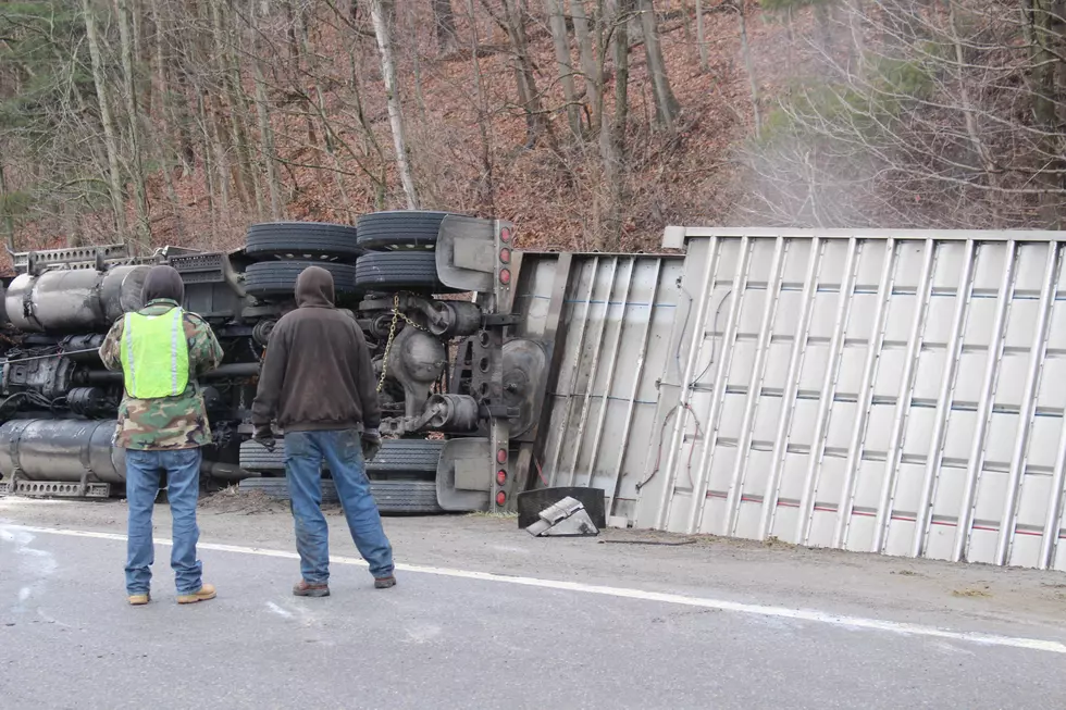 Cattle Die After Speeding Truck Overturns Near Binghamton