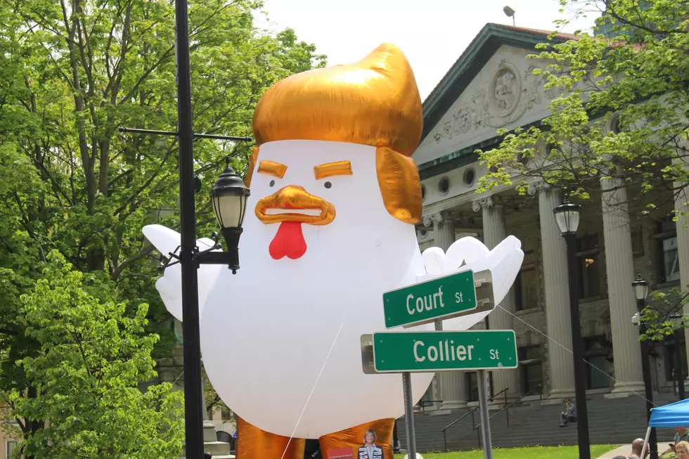 Giant Inflatable Chicken Shows Up in Downtown Binghamton