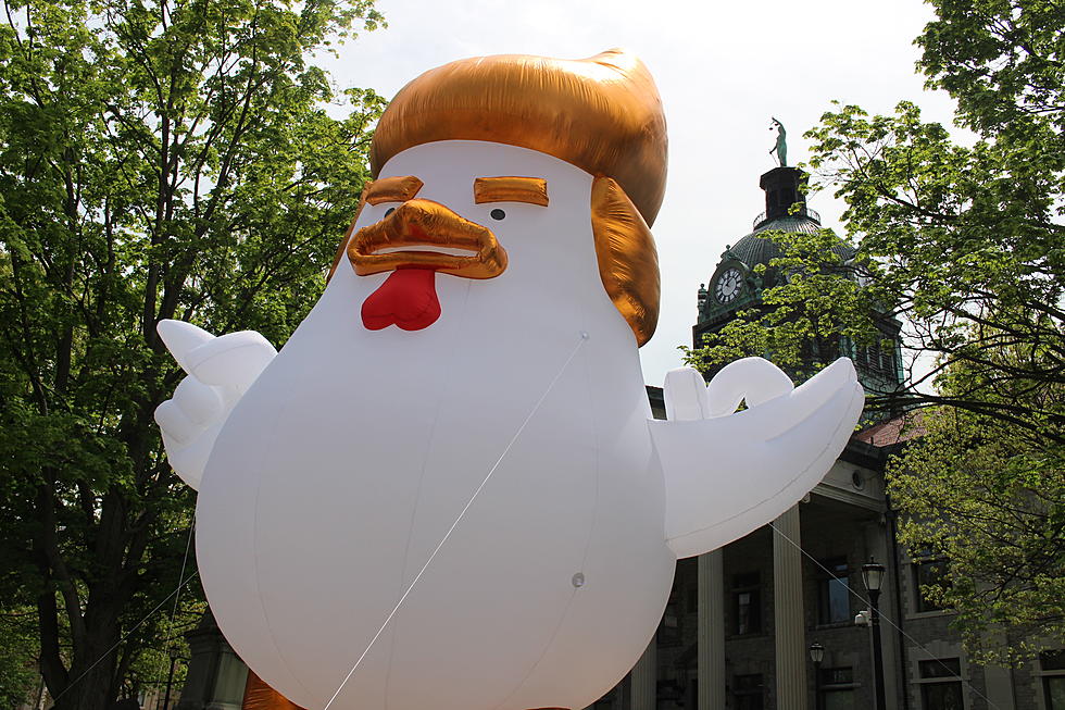 Giant Inflatable Chicken Shows Up in Downtown Binghamton