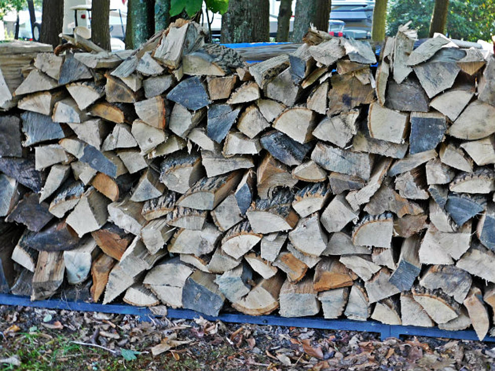 Officials Warn About the Dangers of Moving Firewood