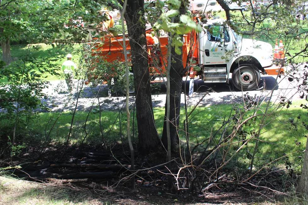 Downed Power Line Sparks Brush Fire in Vestal