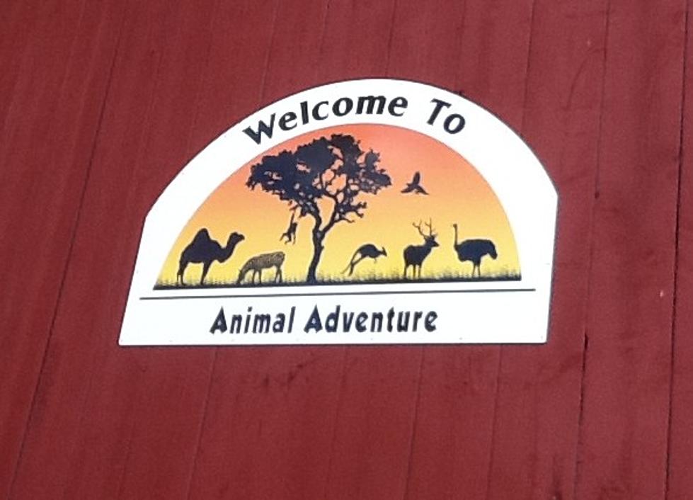 Newest Addition At Animal Adventure Park in Harpursville