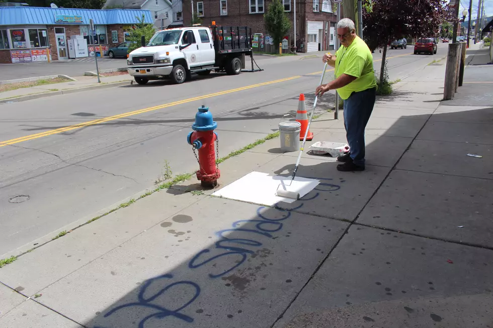 Businesses, Vehicles Defaced in Binghamton Vandalism Spree