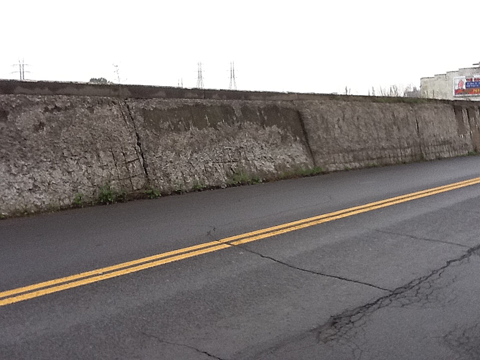 Binghamton Flood Wall Inspections Go Robo