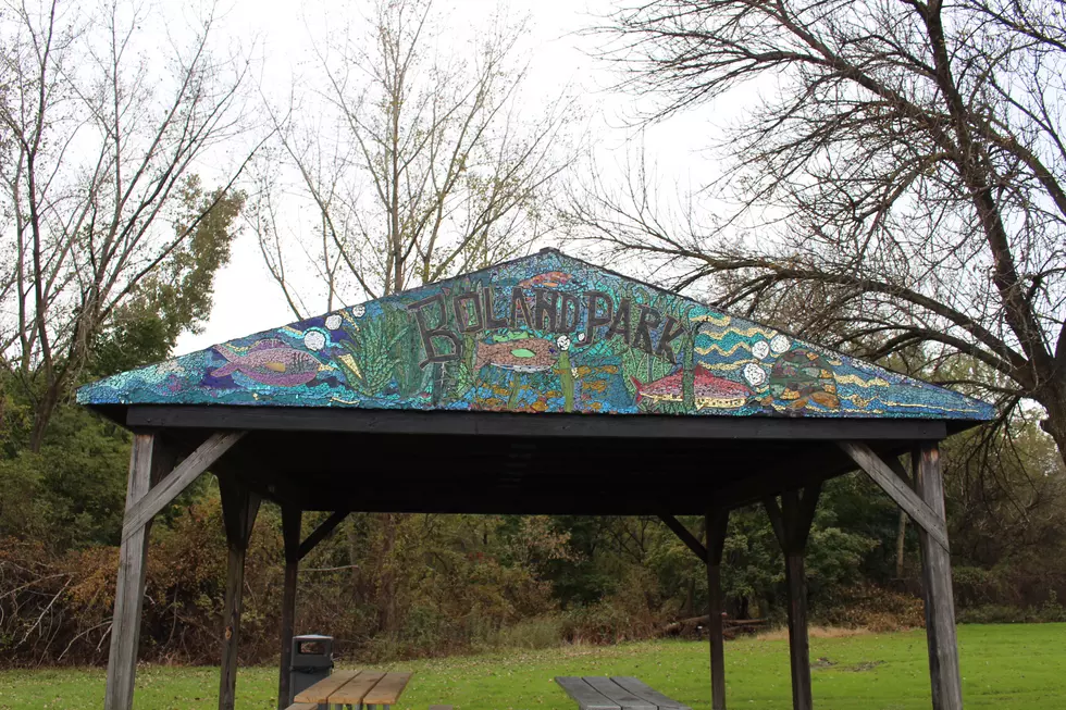 Colorful Mosaic Art Brightens Johnson City Park