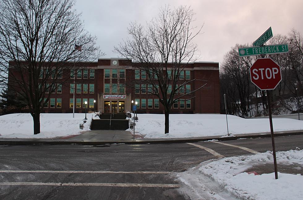 “Independent” Review Set in Binghamton School Search Case