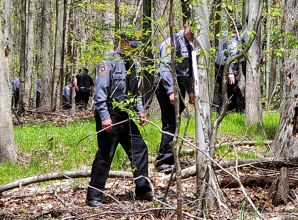 Police: Binghamton Man’s Body Found in JC Wooded Area