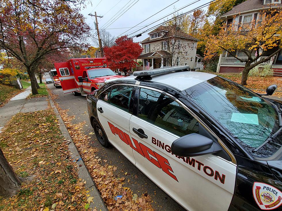 Man Seriously Hurt By Falling Tree on Binghamton&#8217;s West Side
