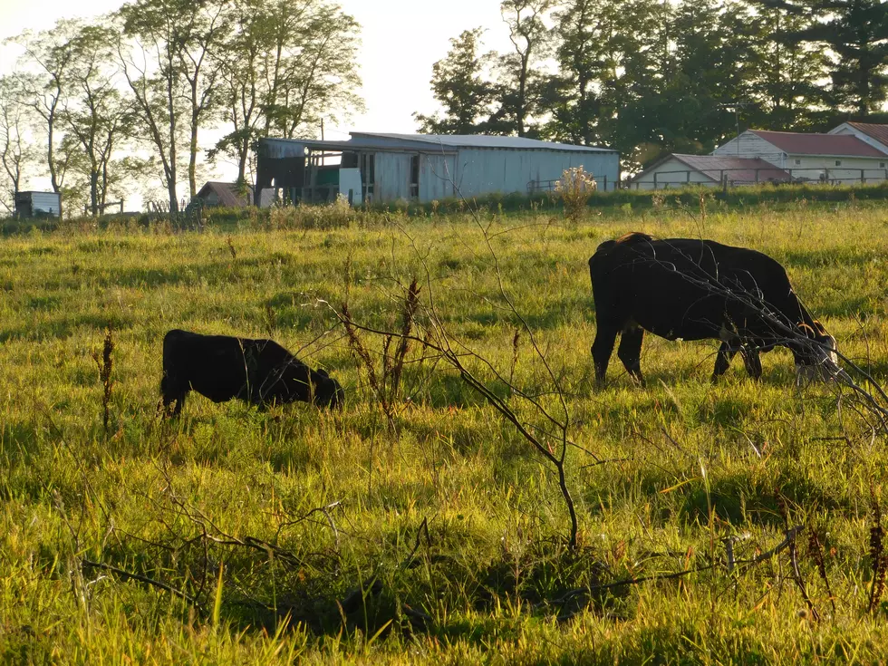 Part-time Farmer Tax Seminar Coming