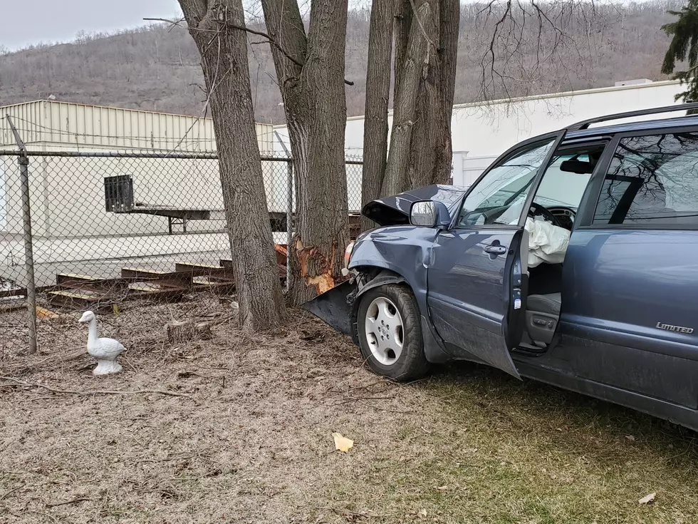 Driver Hurt As Car Slams into Tree in Yard of Binghamton Home