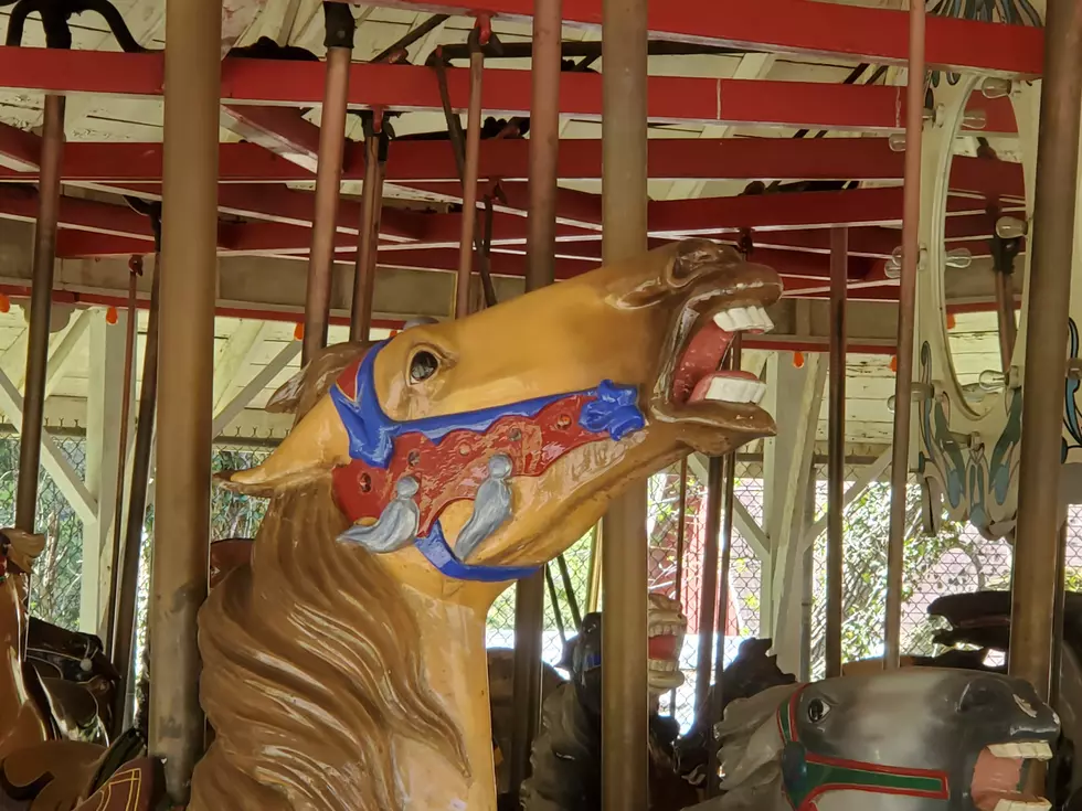 A horse on the Ross Park Zoo carousel on May 21, 2020. (Photo: Bob Joseph/WNBF News)