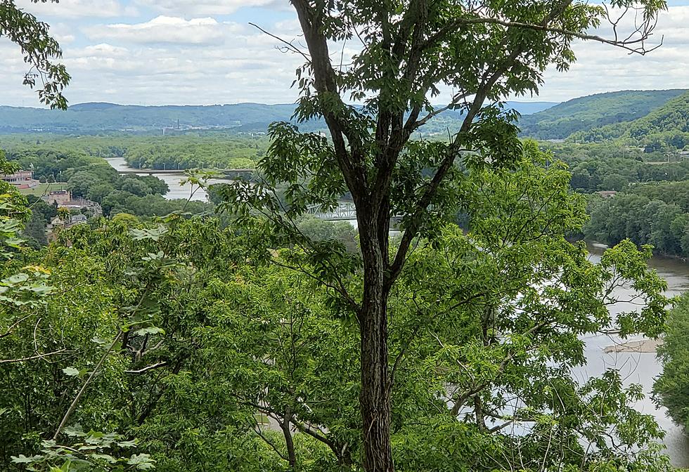Scenic Overlook to Open at Endicott’s Roundtop Picnic Area