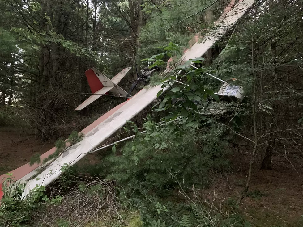 Ultralight Plane Crashes Near Whitney Point